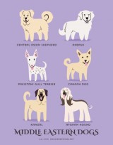 Adorable Guide Shows Dogs Of The World By Geographic Origin – BuzzDog